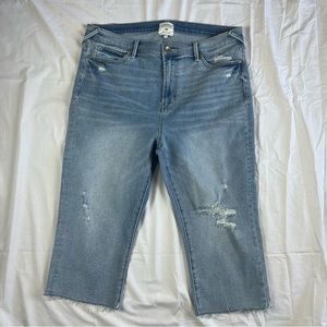 SERRA RETREAT by Joie Rucker • Distressed jeans shorts Size 16/36